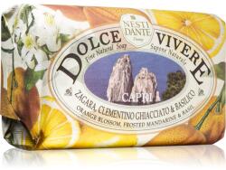 Nesti Dante Dolce Vivere Capri săpun natural 250 g