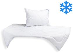 Brotex Luxus Plus Téli paplan és párna szett (paplan 140×200 cm / 1300 g, párna 70×90 cm / 900 g), Unico zip (63296/55)