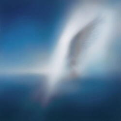 Car, The Garden Blue Heart