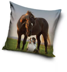 Lovas Sunset Companions párnahuzat 40x40 cm (CBX231190PNL) - hosokboltja