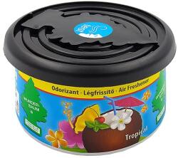 Wunder-Baum Wunderbaum, Fiber Can, Tropical