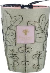 Baobab Collection Folia Maquis Ароматна свещ 24 см (MAX24FMAQ)