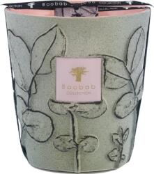 Baobab Collection Folia Maquis Ароматна свещ, 16 см (MAX16FMAQ)