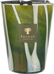 Baobab Collection Woods Sherwood Ароматна свещ 24 см (MAX24WSH)