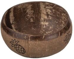 AtmoWood Kókuszfa tál ananásszal