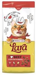 Versele-Laga Lara Adult Beef 12, 5 kg macskaeledel marhahússal
