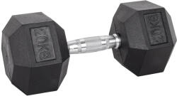 inSPORTline Hatszög kézisúlyzó inSPORTline Hexsteel 20 kg