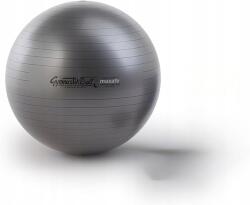  Rehabilitációs Gimnasztikai Labda Fitnesz Jóga 75cm Szürke