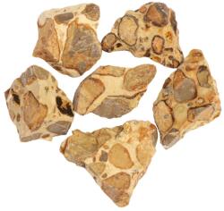  Jasp Piele de Leopard Natural Brut - 32-52 x 23-38 x 13-18 mm - Piatra pentru Ancorare si Siguranta - (XL) - 1 Buc