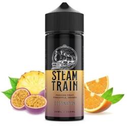 Steam Train - Destination 24ml/120ml