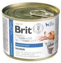 Brit Veterinary Diet Grain Free Recovery 200 g lazac és csirke máj kutyáknak és macskáknak lábadozás alatt