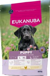 EUKANUBA Puppy Large Breeds Chicken 800 g száraz táp nagytestű kölyökkutyáknak friss csirkével