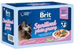 Brit Premium Cat Delicate Fillets in Gravy Family Plate Sterilised 24 x 85 g