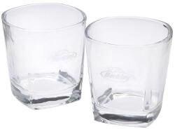 BERKLEY Swigs For Bigs Gift Pack 2x Nessie 22cm (1643101)