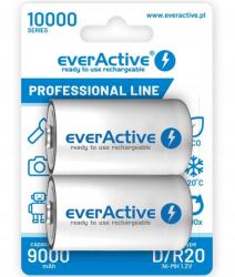 everActive Professional R20 Akku 2DB 10000mAh (EVHRL20-10000)