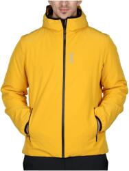 Colmar New Futurity D