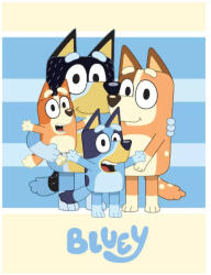 Ludo Studio Bluey Happiness polár takaró, pléd 100x140 cm Nr3
