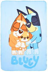 Ludo Studio Bluey polár takaró, pléd 100x140 cm Nr2
