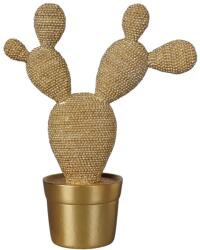 Art Galéria Nyuszifül kaktusz - szobor