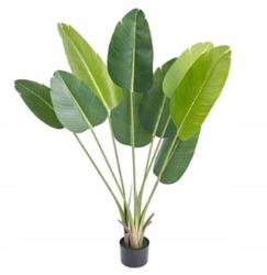  MESTERSÉGES BANÁNPÁLMA Egzotikus NÖVÉNY VALÓSÁGSZERŰ CSERÉBÉBEN 150CM