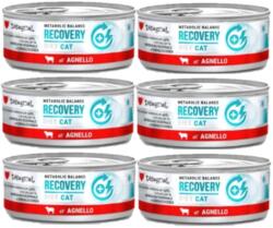 Disugual Disugual Nedves macskaeledel Állatorvosi RECOVERY Bárány (felnőtt) 6x85 g