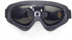 Roy Wb E-01 Védőszemüveg (5900802060934)