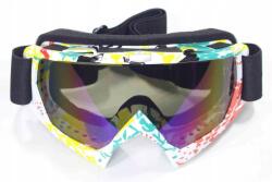 Roy Wb P-06 Védőszemüveg (5900802310824)