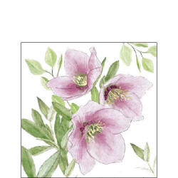 Ambiente Papírszalvéta 25x25cm, 20db-os - Classic helleborus