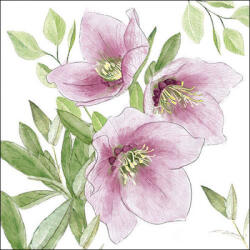 Ambiente Papírszalvéta - 33x33cm, 20db-os - Classic helleborus
