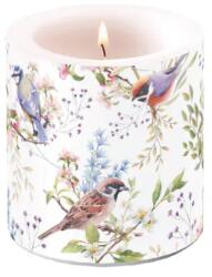 Ambiente Busy birds átvilágítós gyertya 8x7, 5cm