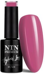 NTN Premium UV/LED 21#