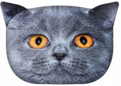 Bertoni Nagy, puha velúr macskapárna Bertoni 45x30 cm Leon nyomtatással (PT08)