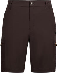 TRESPASS Férfi Dalham rövidnadrág 2XL fekete|mályva|szürke