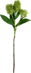 House Doctor Floare artificială House Doctor Skimmia, verde (900001453)