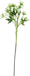 House Doctor Floare artificială House Doctor Eryngium, crem (900001469)