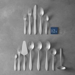 Villeroy & Boch V&B Arthur Brushed evőeszközkészlet 12személyes 68részes (12-6394-9081)