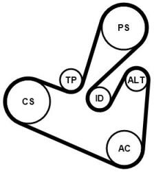 Continental Ctam Set curea transmisie cu caneluri CONTINENTAL CTAM 6PK1705K1 (6PK1705K1)
