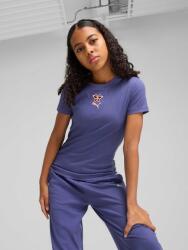 PUMA Тениска Graphics Ribbed Tee IV G (63074546)