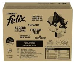 FELIX Fantastic Házias Válogatás 120x85g (151084)