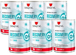 Disugual Disugual Recovery - Nedves, állatorvosi jellegű kutyatáp felnőtt kutyáknak, bárányhússal (6x400 g)