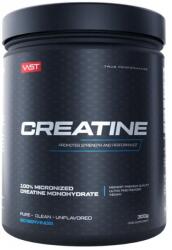 VAST - Micronized Creatine Monohydrate- ízesítetlen - 300 G