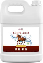 Over Horse Electro Liquid - Electrolit lichid premium pentru cai 5000 ml