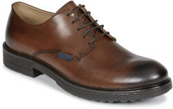Pellet Pantofi Derby Bărbați NOVAK Pellet Maro 45