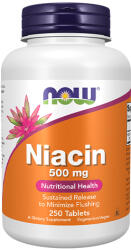 NOW Vitamin B-3 (NIACIN) 500mg / 250 Tabs