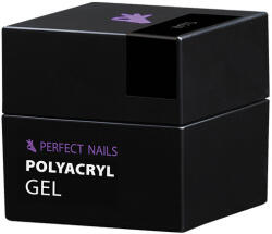 Perfect Nails Perfect PolyAcryl Gel - Polygel Clear 15g - Perfect Nails (PNZ4053) - glow