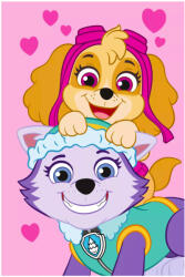 Nickelodeon Mancs Őrjárat polár takaró, pléd 100x150 cm Nr15