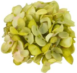  Hortenzia virágfej 10cm zöld - kosarbolt