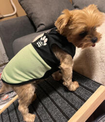  Kutyaruha - Tappancs trikó - 2XL - zöld