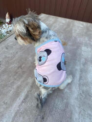  Kutyaruha - Spagetti pántos, nyári kutyatrikó koala macis mintával - kétféle színben - L - kék