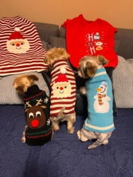  Kutyaruha - S-5XL Tèli meleg pulcsik - 2XL - kék